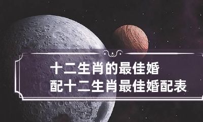 十二生肖的最佳婚配 十二生肖最佳婚配表,男女属相婚配