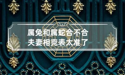 属兔和属蛇合不合 夫妻相克表太准了