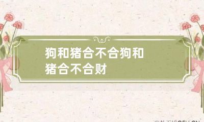 狗和猪合不合 狗和猪合不合财
