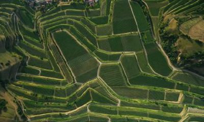 秋天出生五行起名大全