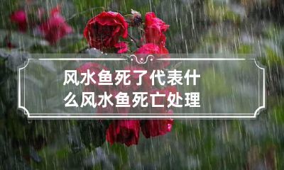 风水鱼死了代表什么 风水鱼死亡处理