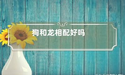 狗和龙相配好吗