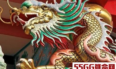 属龙和属龙的配吗