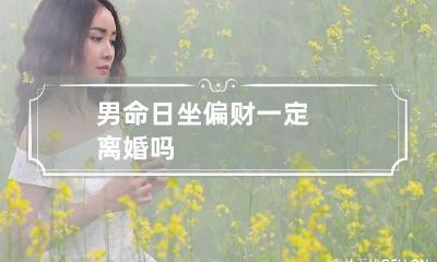 男命日坐偏财 一定离婚吗