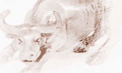 属猪和属牛的配对