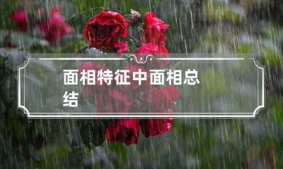 面相特征中 面相总结