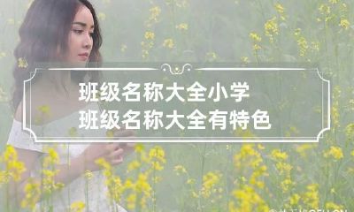 班级名称大全 小学班级名称大全有特色