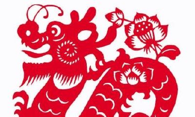 属猪和属龙的配对