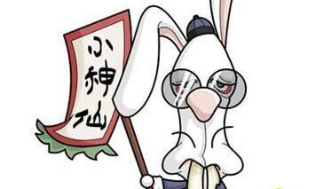 不能只看属兔和什么属相最配 还要看月份！