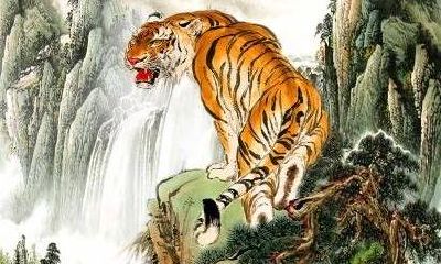 属猪和属虎的配对