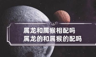 属龙和属猴相配吗 属龙的和属猴的配吗