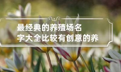 最经典的养殖场名字大全 比较有创意的养殖场名字