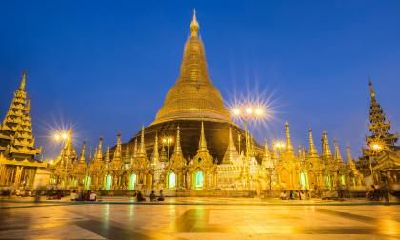 2020年3月12日植树节日子开业好不好？开业最佳时间几点？