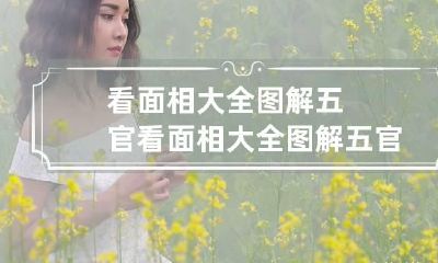 看面相大全图解五官 看面相大全图解五官分析