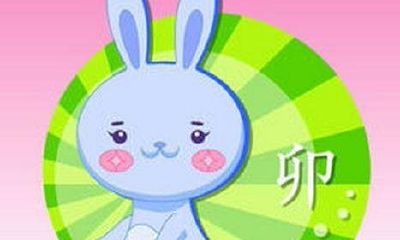 属猪和属兔的配对