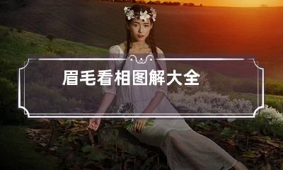 眉毛看相图解大全