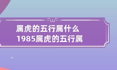 属虎的五行属什么 1985属虎的五行属什么