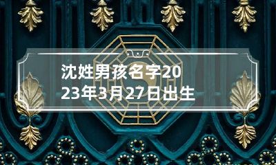 沈姓男孩名字2023年3月27日出生的 2023年沈姓男宝宝名字