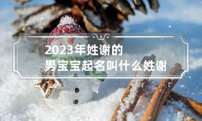 2023年姓谢的男宝宝起名叫什么 姓谢男宝宝取什么名字
