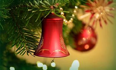 平安夜圣诞节有放假吗？圣诞树是什么树？