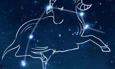 白羊座与狮子座配对