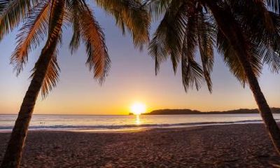 大暑适合吃什么水果？夏天解暑水果吃什么？