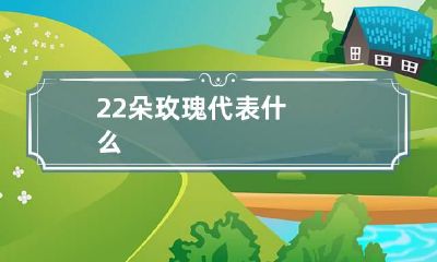 22朵玫瑰代表什么