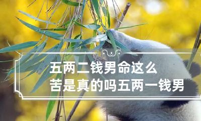 五两二钱男命这么苦是真的吗 五两一钱男命很差吗