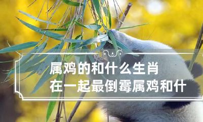 属鸡的和什么生肖在一起最倒霉 属鸡和什么生肖最和