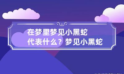 在梦里梦见小黑蛇代表什么？ 梦见小黑蛇是什么意思