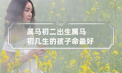 属马初二出生 属马初几生的孩子命最好