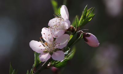 2022年是不是寡妇年？2022年虎年婚姻运势