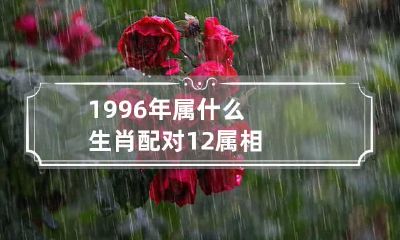 1996年属什么生肖配对 12属相