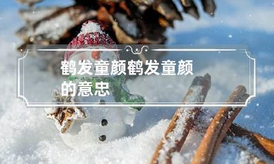 鹤发童颜 鹤发童颜的意忠