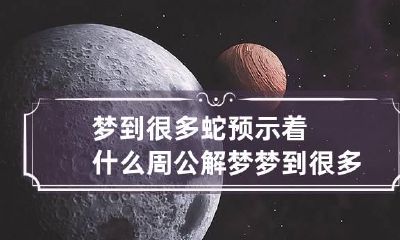 梦到很多蛇预示着什么周公解梦 梦到很多蛇预示着什么周公解梦女人