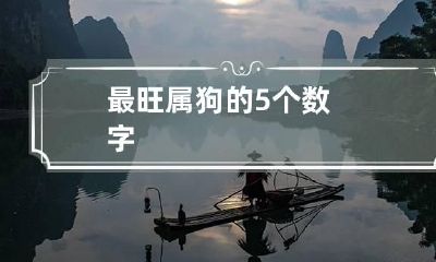 最旺属狗的5个数字