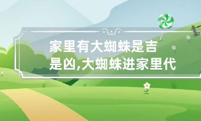 家里有大蜘蛛是吉是凶,大蜘蛛进家里代表什么?