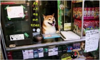 梦到自己卖货卖不出来