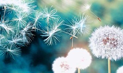 十二星座谁是职场达人