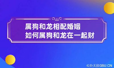 属狗和龙相配婚姻如何 属狗和龙在一起财运好吗