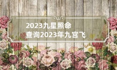 2023九星照命查询 2023年九宫飞星图详解