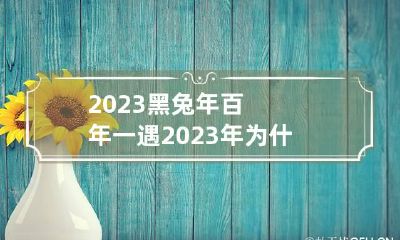 2023黑兔年百年一遇2023年为什么是黑兔年