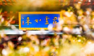 古代霜降分三候,霜降三候是什么意思？