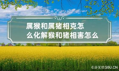 属猴和属猪相克怎么化解猴和猪相害怎么办图文