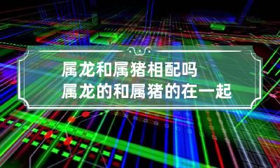 属龙和属猪相配吗 属龙的和属猪的在一起相配吗