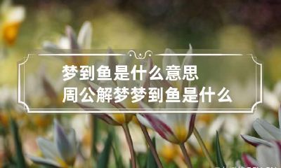 梦到鱼是什么意思周公解梦 梦到鱼是什么意思啊