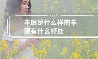 羊眼是什么样的 羊眼有什么好处