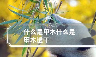 什么是甲木 什么是甲木透干