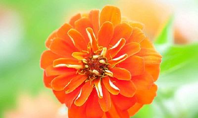 十二星座的来源和由来