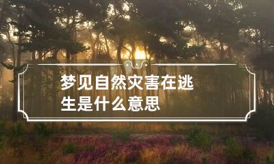梦见自然灾害在逃生是什么意思